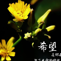 社会万千
