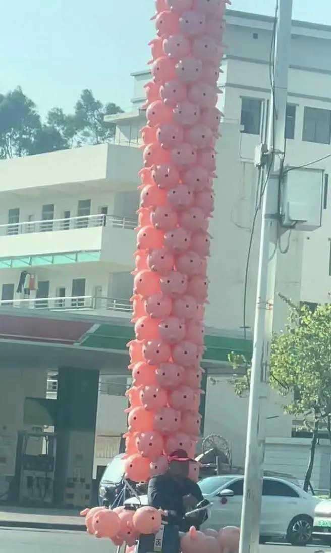 老板我要最上面那个猪