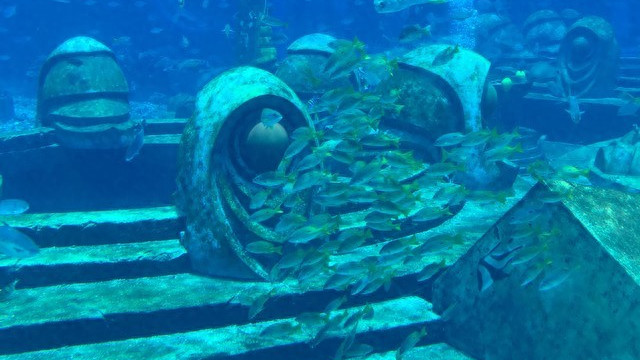 传说中的《亚特兰蒂斯之书》：亚历山大图书馆里的神秘宝藏？