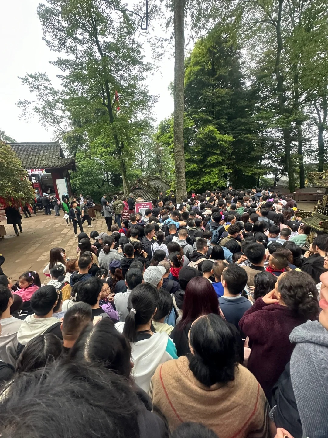 困在青城山了，简直了