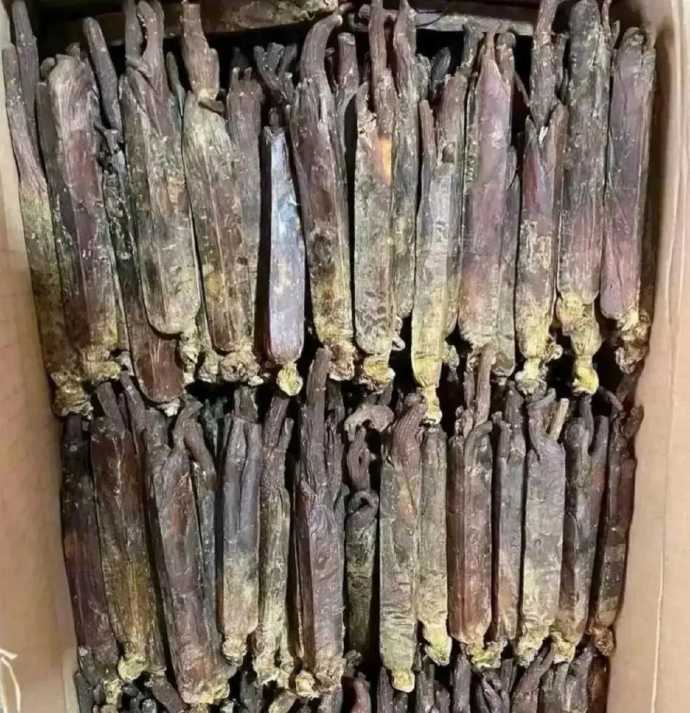 山上捡到这一箱，这个东西值不值钱呀！ ​​​