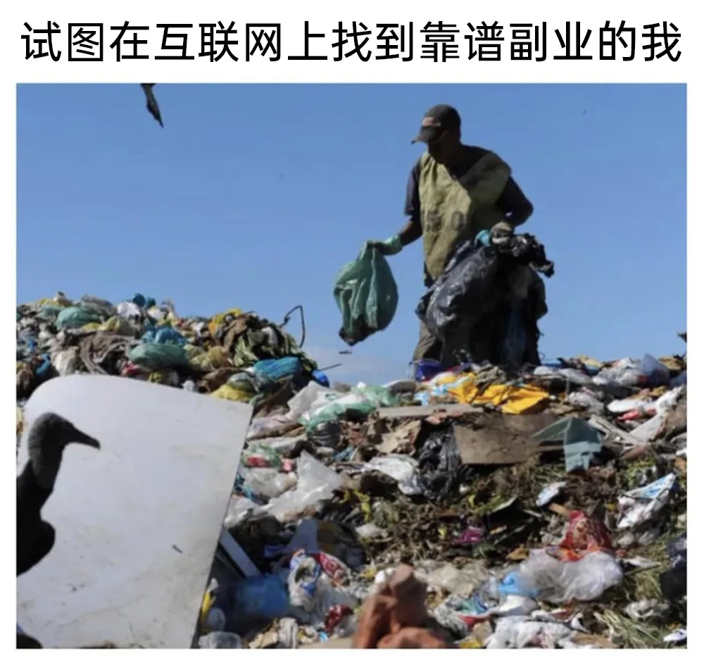 试图在互联网上找到靠谱副业的我