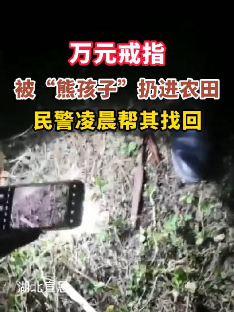 “熊孩子又惹事了”。近日,湖北恩施万寨派出所接到群众报警,称张女士在家庭聚会时弄