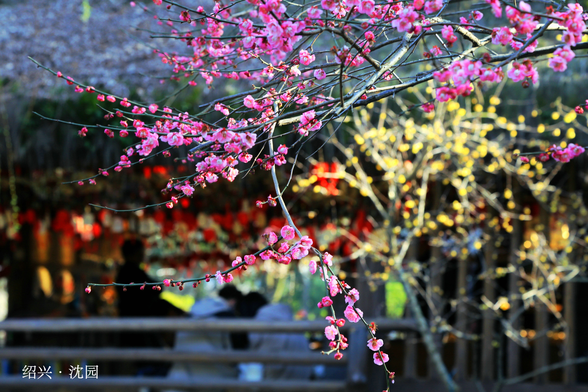2024旅行盘点②，杭州周边打卡。