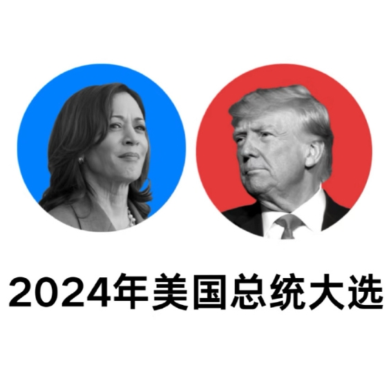 美国大选冷知识：关键州选情异常胶着，最终选举结果何时能出炉？这事儿说起来挺复杂，