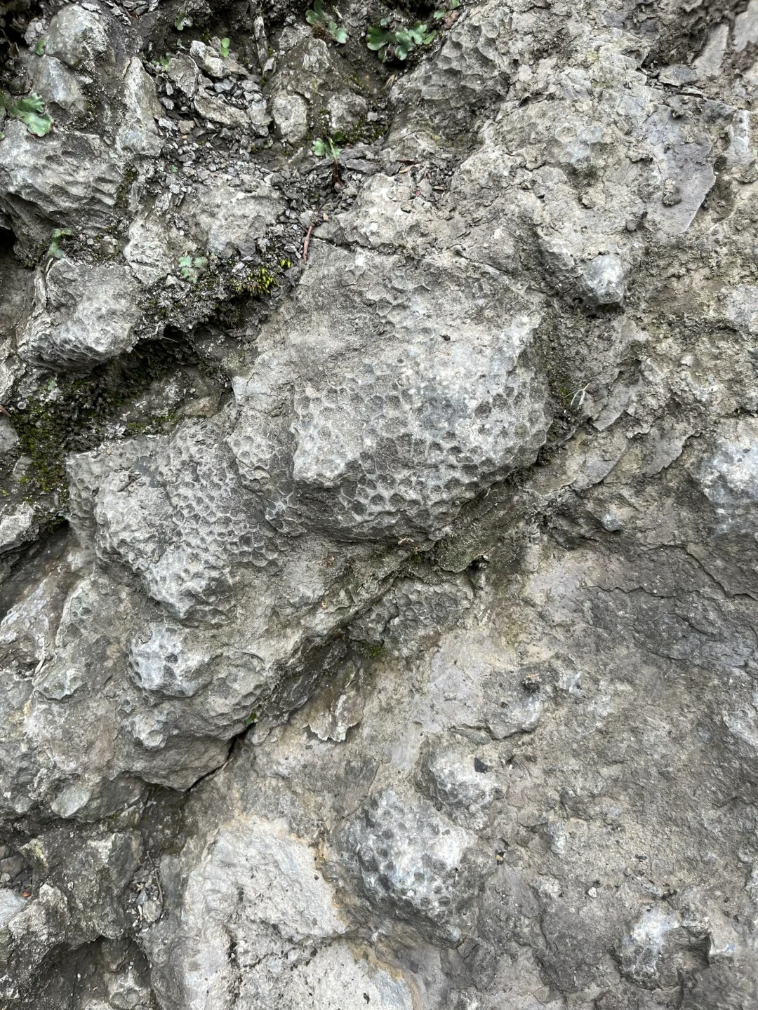 原来四川之前真的是海！