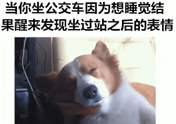 我似乎懂了什么