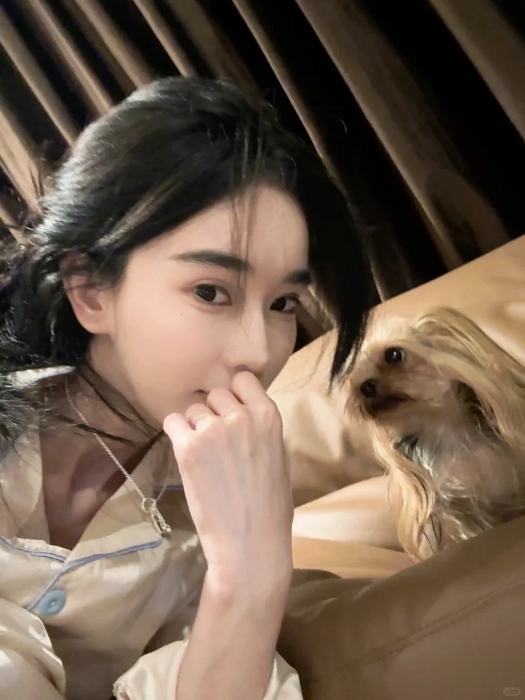 是会动的小狗