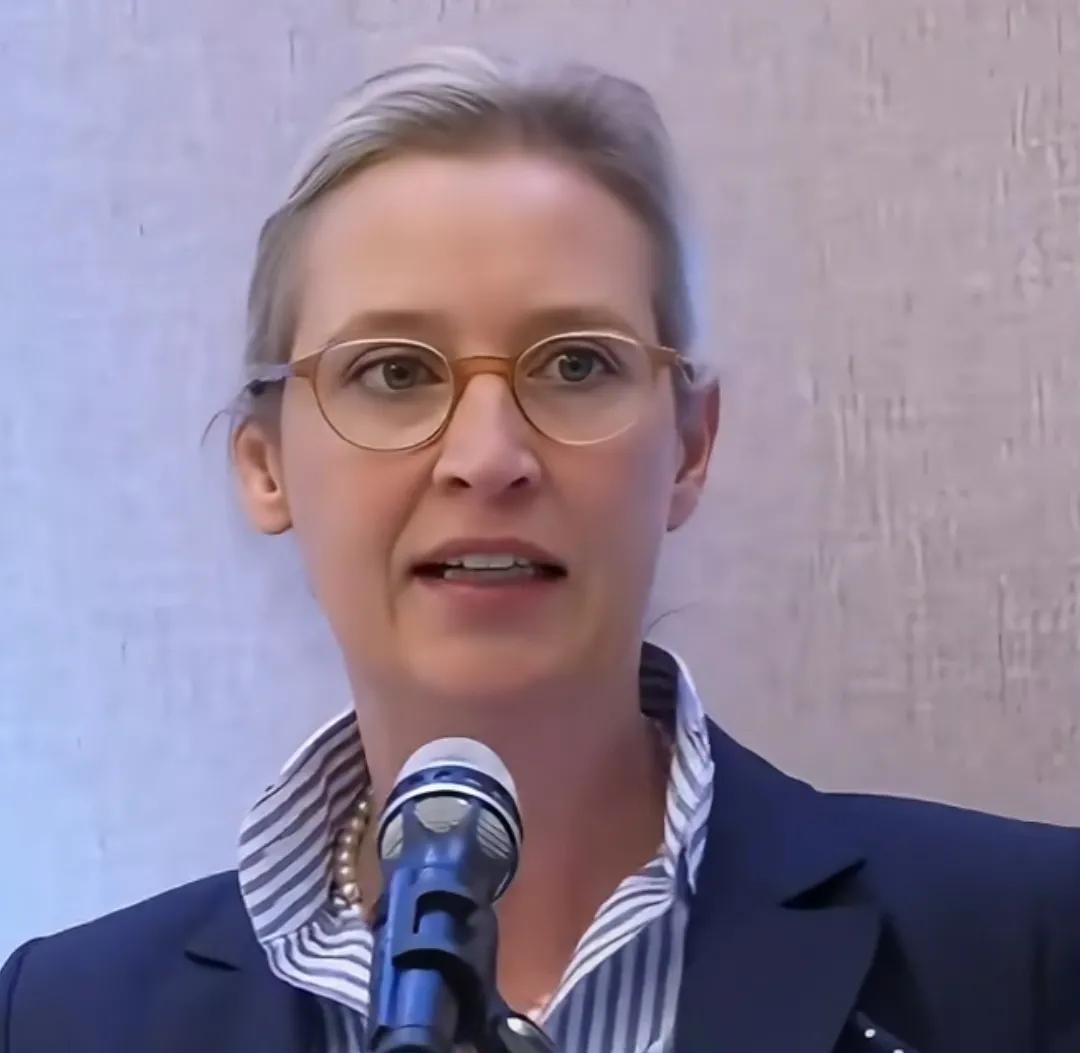 快讯连连！！
德国传来消息！
德国要选举了，民调显示候选人魏尔德、默茨、哈贝克三