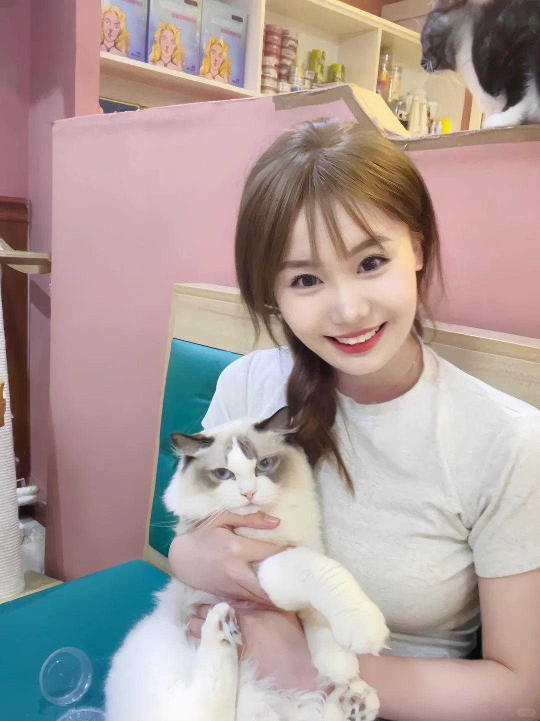 和小猫咪约个会🐱