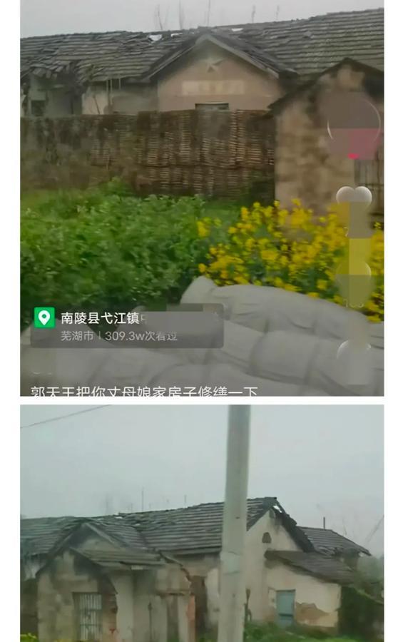 明知是舅舅家新开的酒店，还非得说是老家，究竟还有谁敢这么作！

方媛：明知道网友
