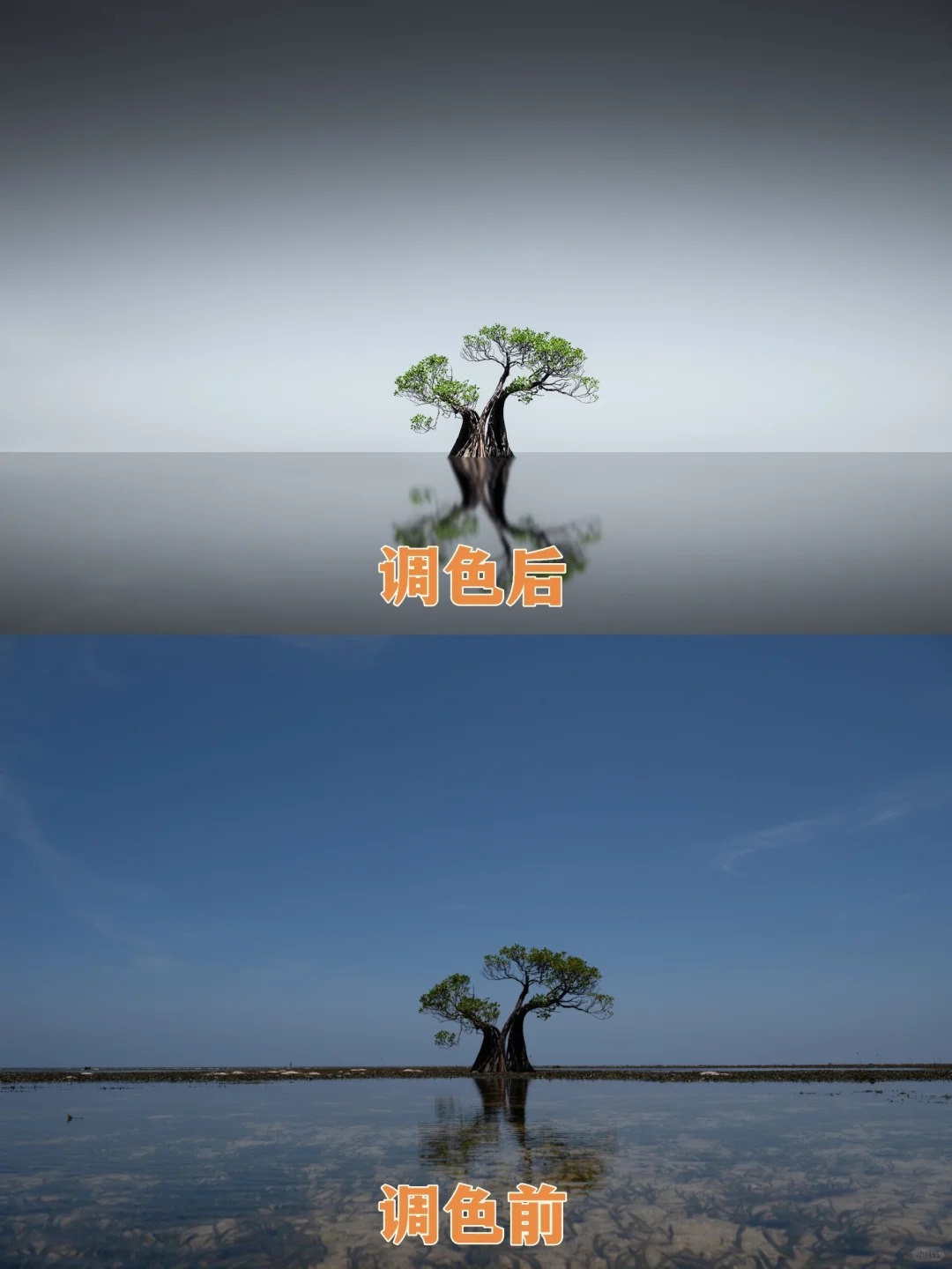 网上很火的低饱和调色风格
分享一组网上很火的低饱和调色风格的前后期对比。
照片来