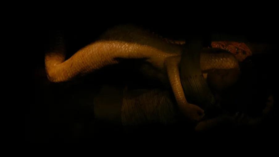 全程高能！出门请系绳！