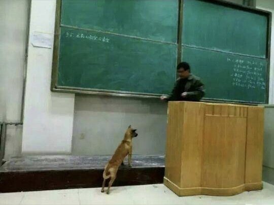 高数的威严果然不容三界任何生物挑战