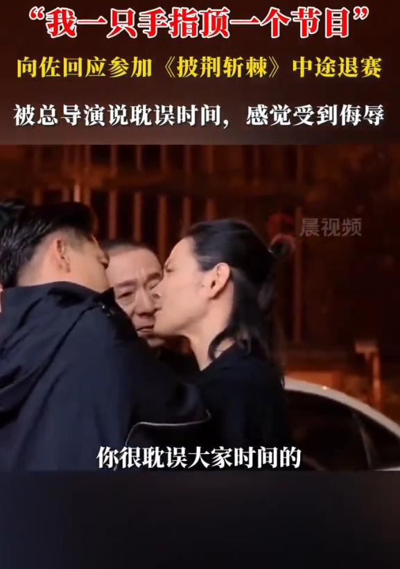 向佐回应接住泼天流量