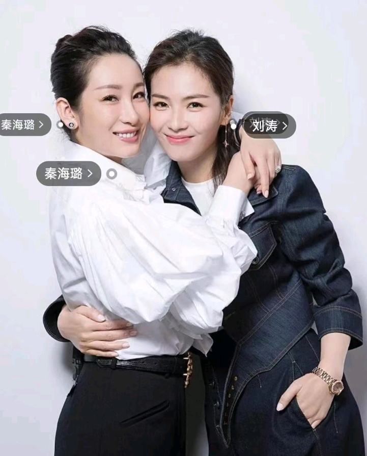 2009年，刘涛老公王珂公司破产，走投无路，刘涛打电话给闺蜜秦海璐：“璐，你帮帮