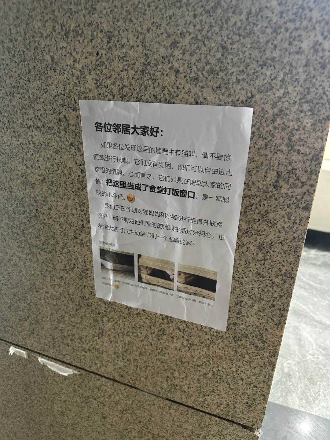 这一次人好猫坏！！！
坏小猫害人类担心一整天！