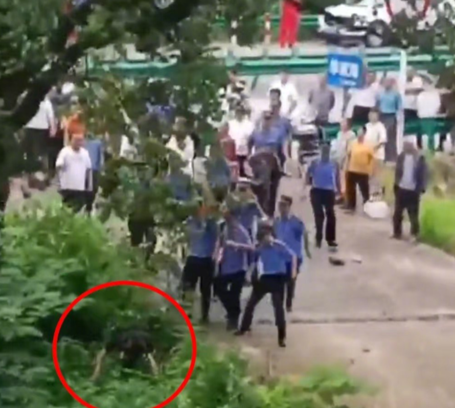 “官方回应来了！”湖北黄石，政府要征地建加油站，遭到了村民反对，谁知，十几名城管
