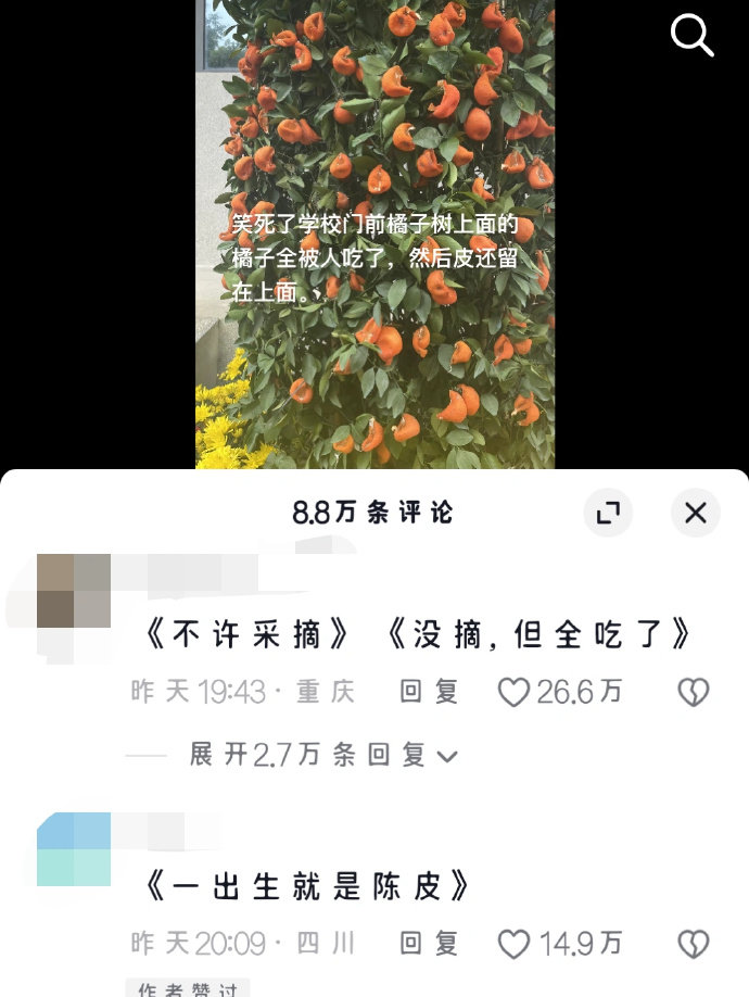 真的人才辈出哈哈哈哈哈 ​​​
