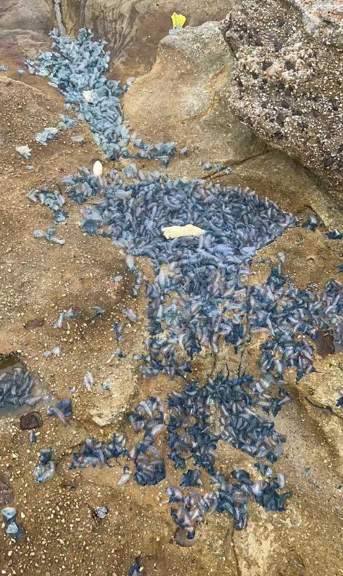 这一脚踩下去简直爽死。 ​​​