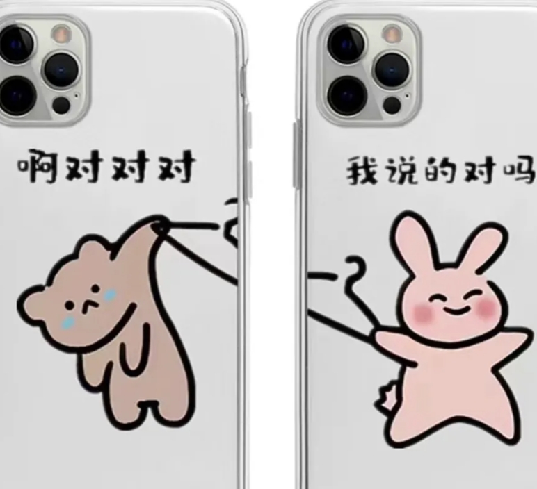 樊振东的手机壳是情侣款，他背着王皓儿子做的挂件！

樊振东的手机壳上画着一只兔子
