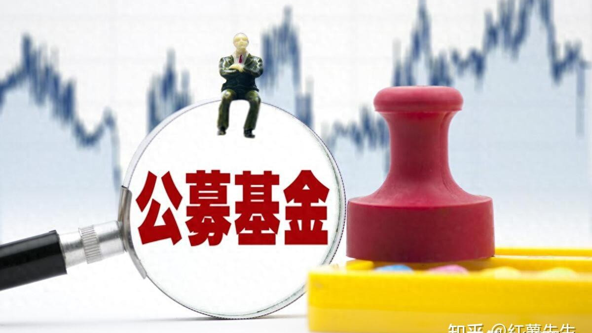 大手笔！公募基金重仓买进市值百亿的上市公司