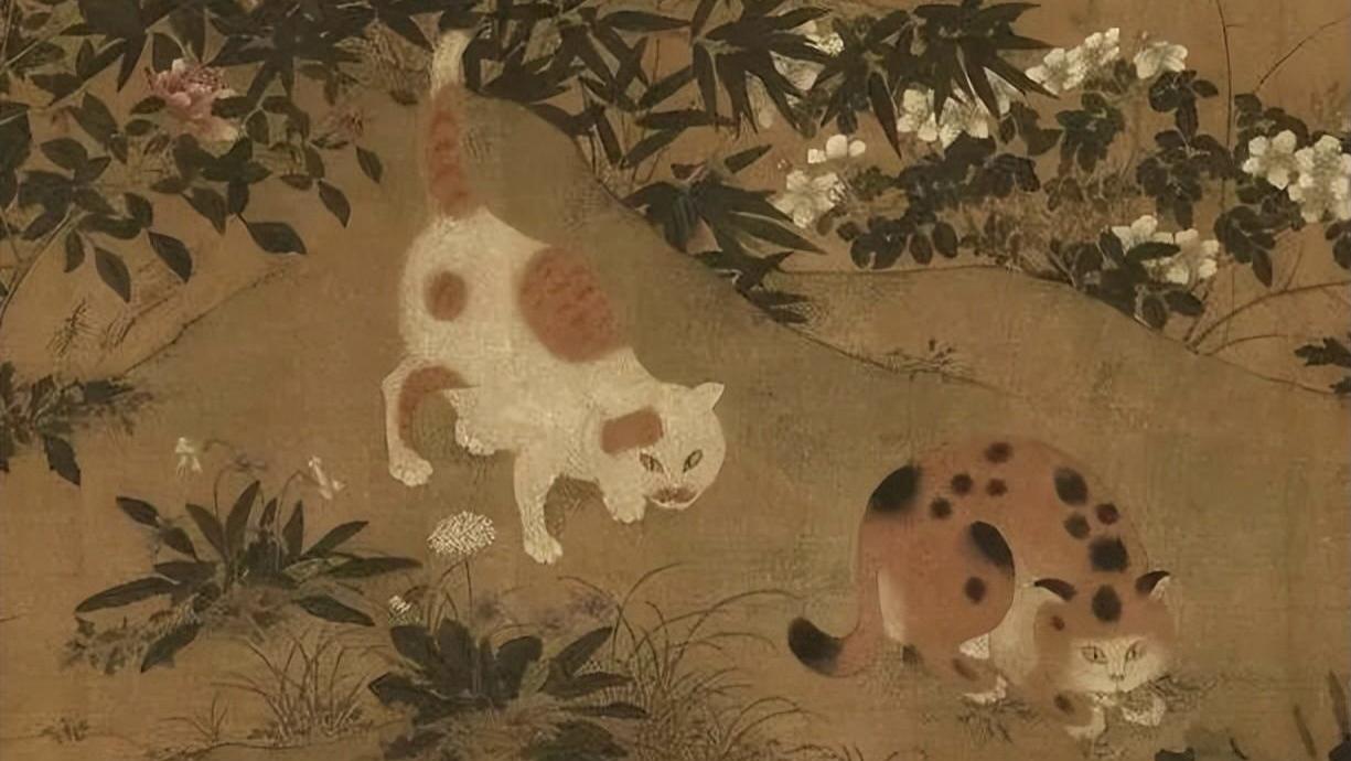青海地区的“猫鬼神”，到底是什么神，为何被不少家庭世代供奉