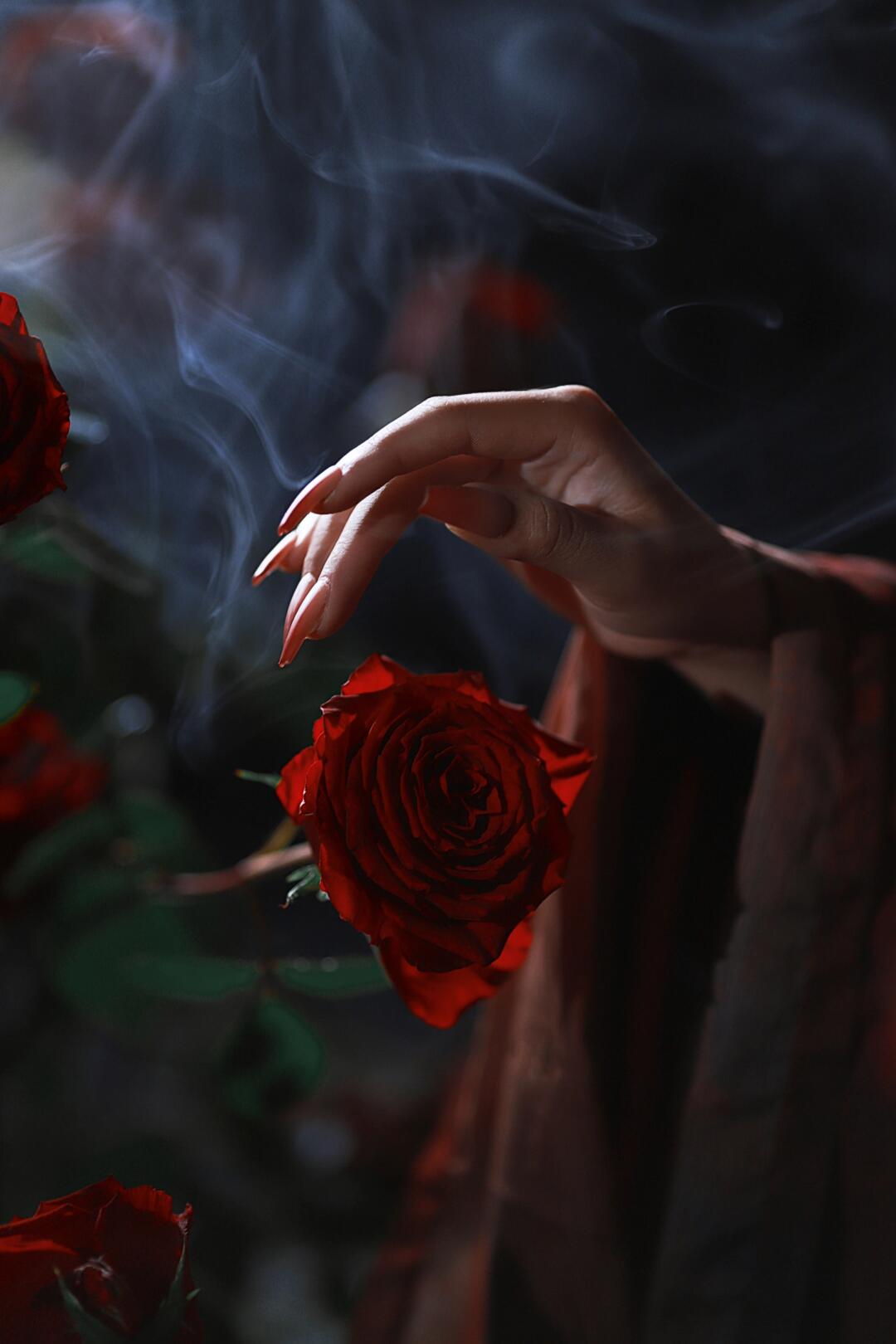 “葬在雪夜”🌹客片客片！！~ 