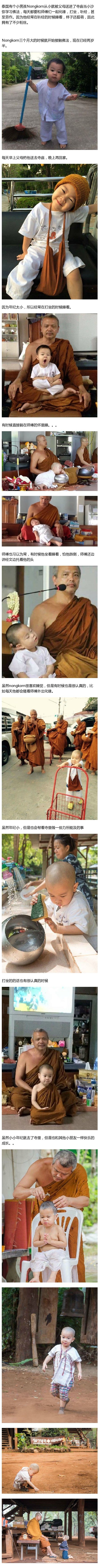治愈系的小光头~ 
