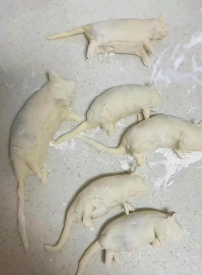 老婆说她研究出来了新型油炸小吃，让我先尝尝鲜，我走近厨房一看，直接吓傻眼了，这个