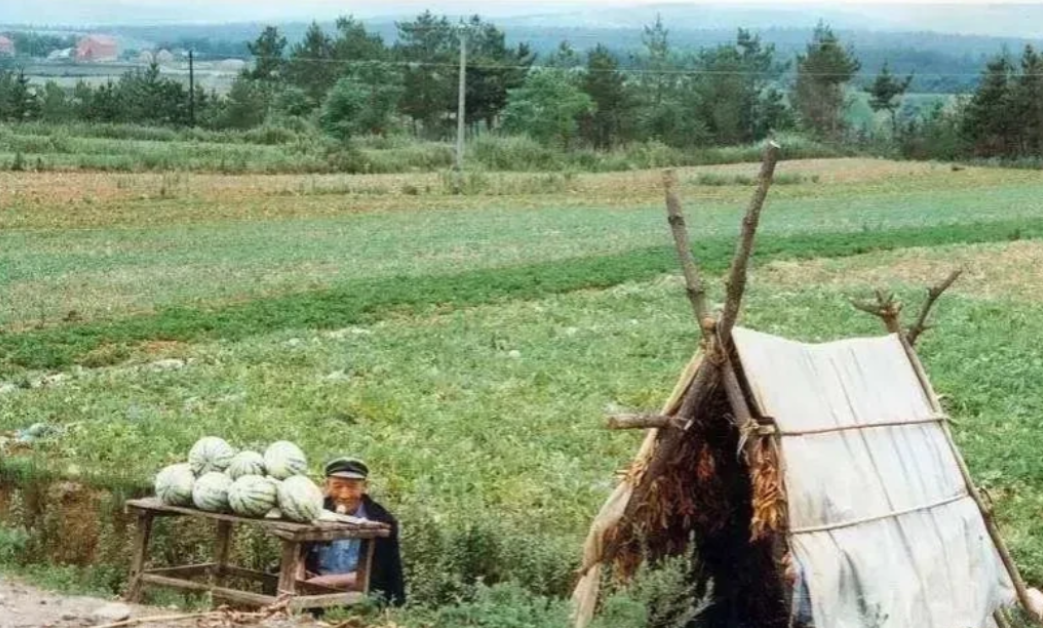 “权力要用到极致？”辽宁沈阳，一老汉10亩地西瓜熟透了卖不出去，心急如焚，自己想