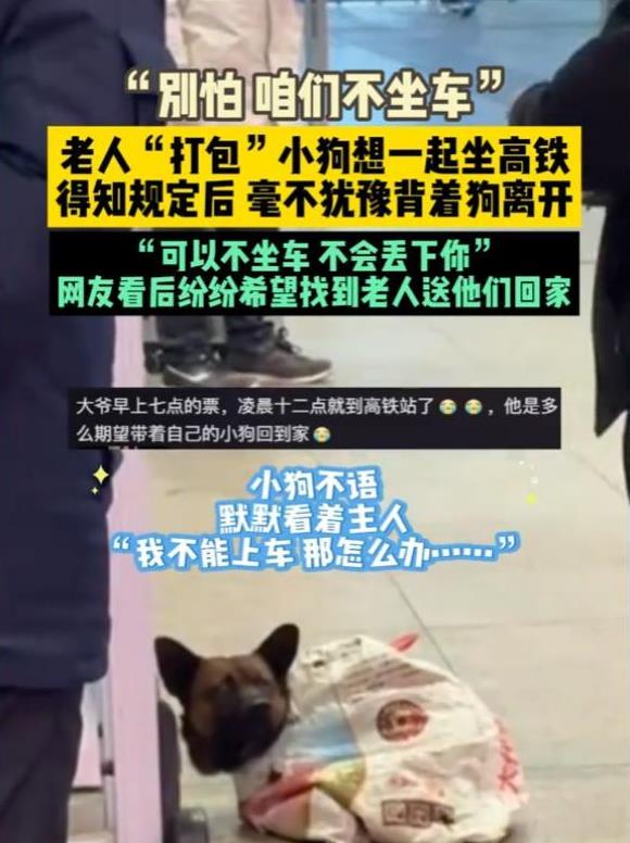 全网都在热切寻找的老爷爷，怀揣带小狗回家的深情执念，高铁安检口那一幕感动了很多人