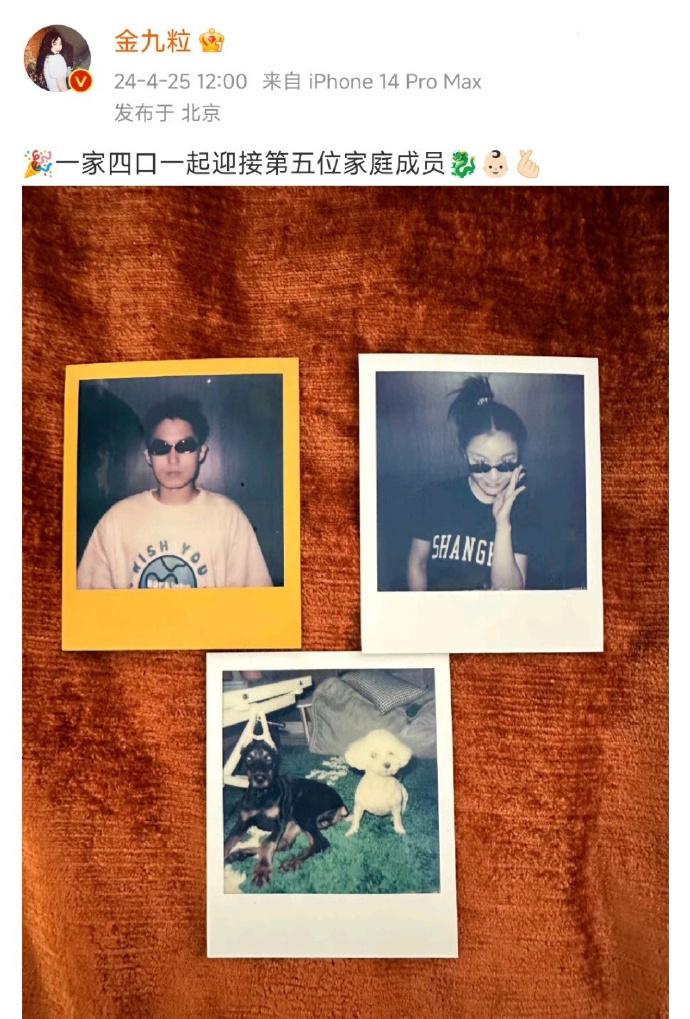 哈哈哈，各位亲爱的网友，是不是被金靖突然宣布怀孕的消息给震惊到了？🤰😮 我也