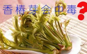 邻居老太女儿流产，竟说罪魁祸首是我家香椿！看我怎么惩治恶邻，打脸邻居老太！