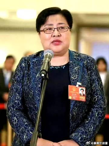 征集民意：张宝艳提议献策：“拐卖妇女、儿童罪，判处死刑，不许缓刑，立即执行”！ 