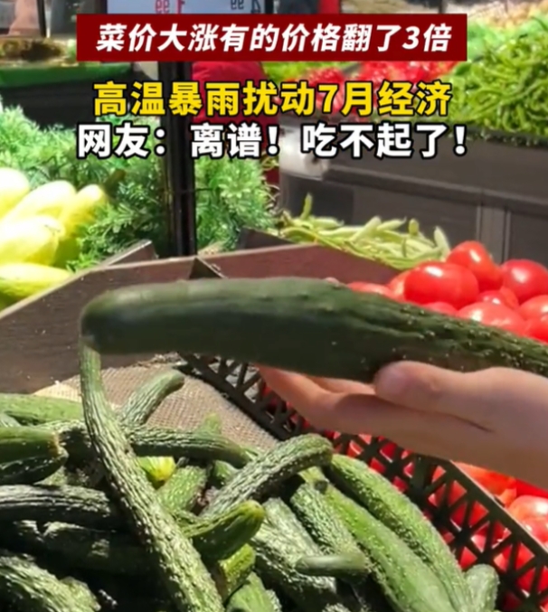 大家有没有发现，最近去菜市场买菜，那价格真是嗖嗖往上涨啊！辣椒、丝瓜、豆橛子、黄