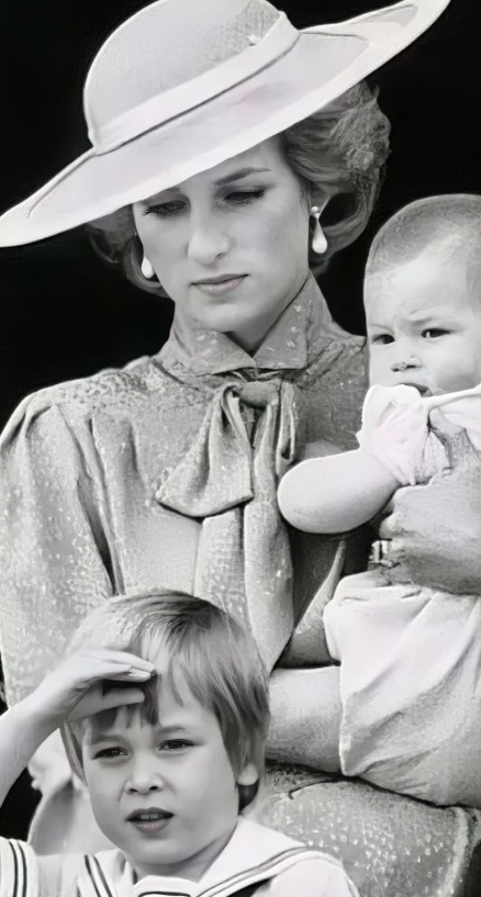 无比熟悉且相似的一幅画面，呈现的却是两种截然不同的感觉。图1是1985年，戴安娜