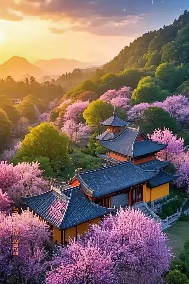 《晨光花娇》
改动续句诗
日出梅岭雾翻涛，
秀木依轩曲韵飘。
万丈霞光云里透，