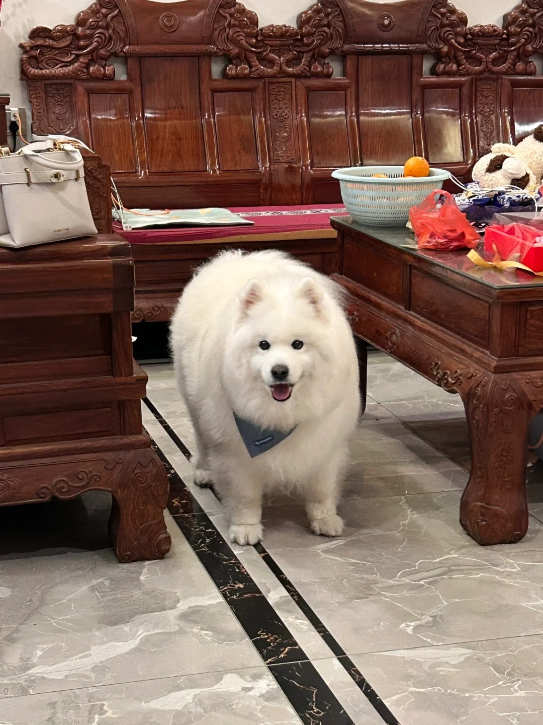 家里新买的白色凳子
凳子在哪？看这个白色的像不像