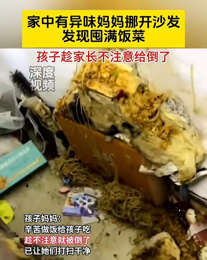 家里有这种孩子真的需要好好教育！