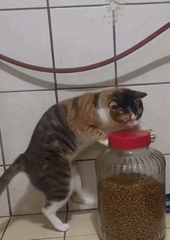 自己动手，丰衣足食