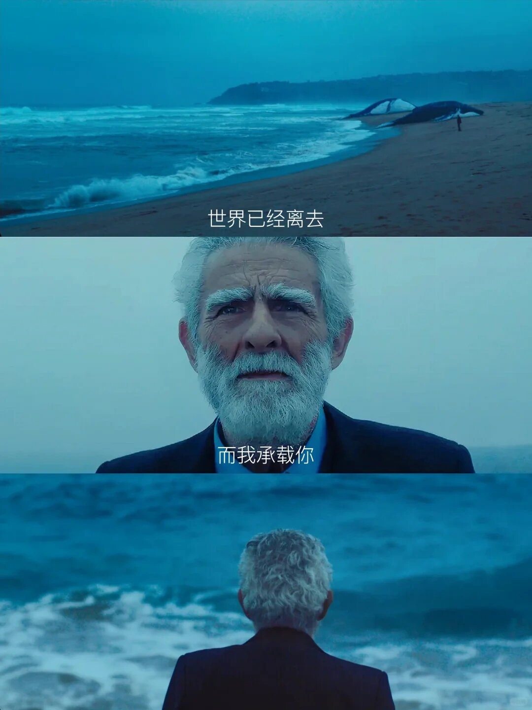 向全世界介绍这部电影