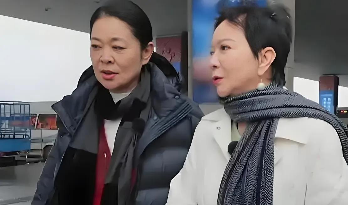 倪萍蔡明同乘李小冉“新手车”，紧张气氛逗乐网友