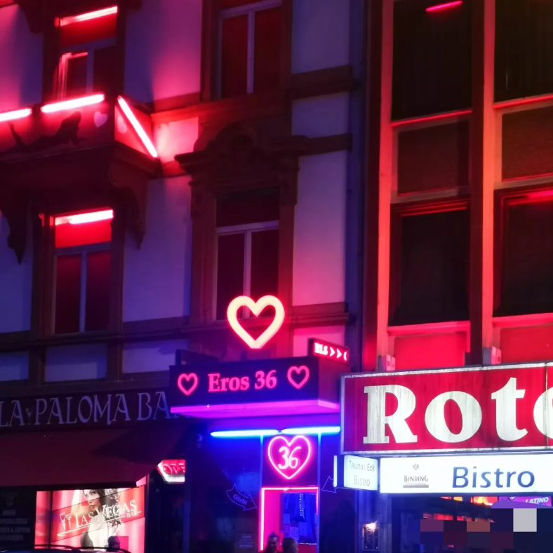 我国大力提倡禁娼？色情合法化的后果多严重，德国现状告诉你！


1. "德国色情