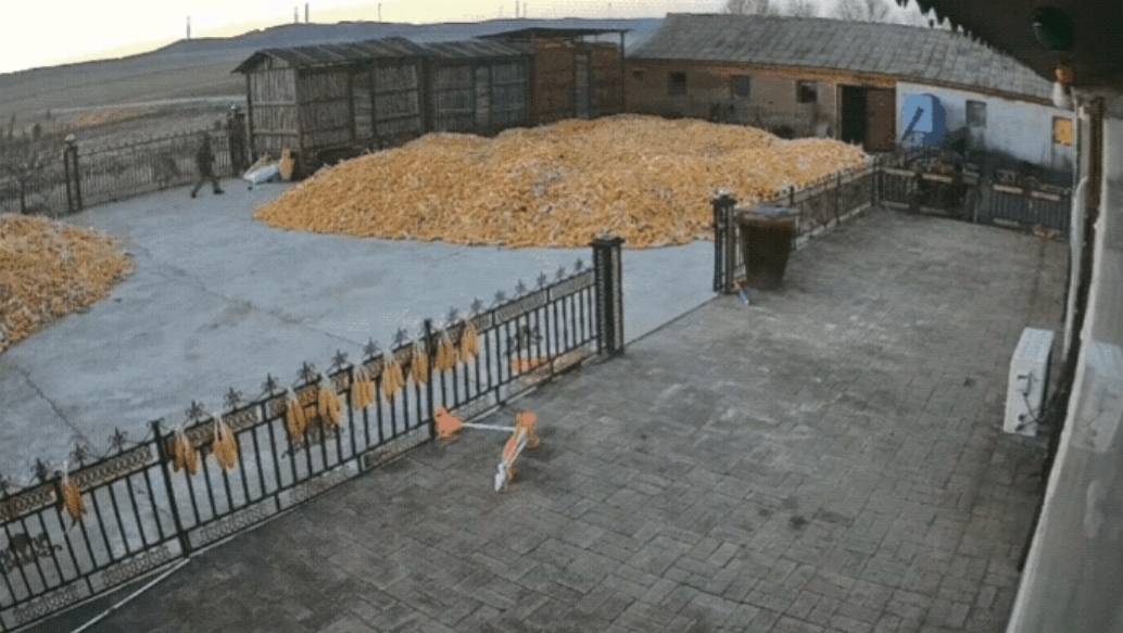 老虎伤人事件最新的三个好消息：
1，第一个好消息，政府会对这次东北虎出没的事发地