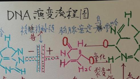 蛊毒索魂「迷梦解码」之降人间病魔（4）