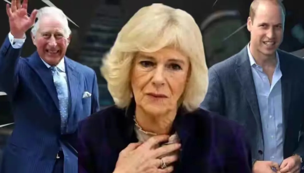 卡米拉的绝望，不是娘家人不给力，而是查尔斯不再给她支持
自凯特复出后，查尔斯的态