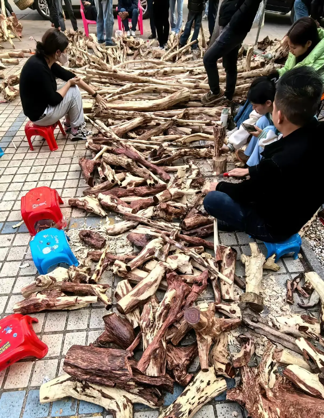 这个是什么，有人知道吗