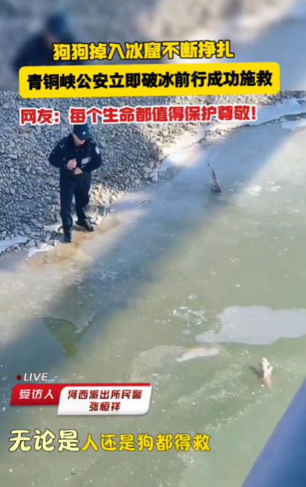 不愧是人民警察！宁夏，一民警在外巡逻时，发现一只小狗掉入了寒冷的冰窟，没有任何犹