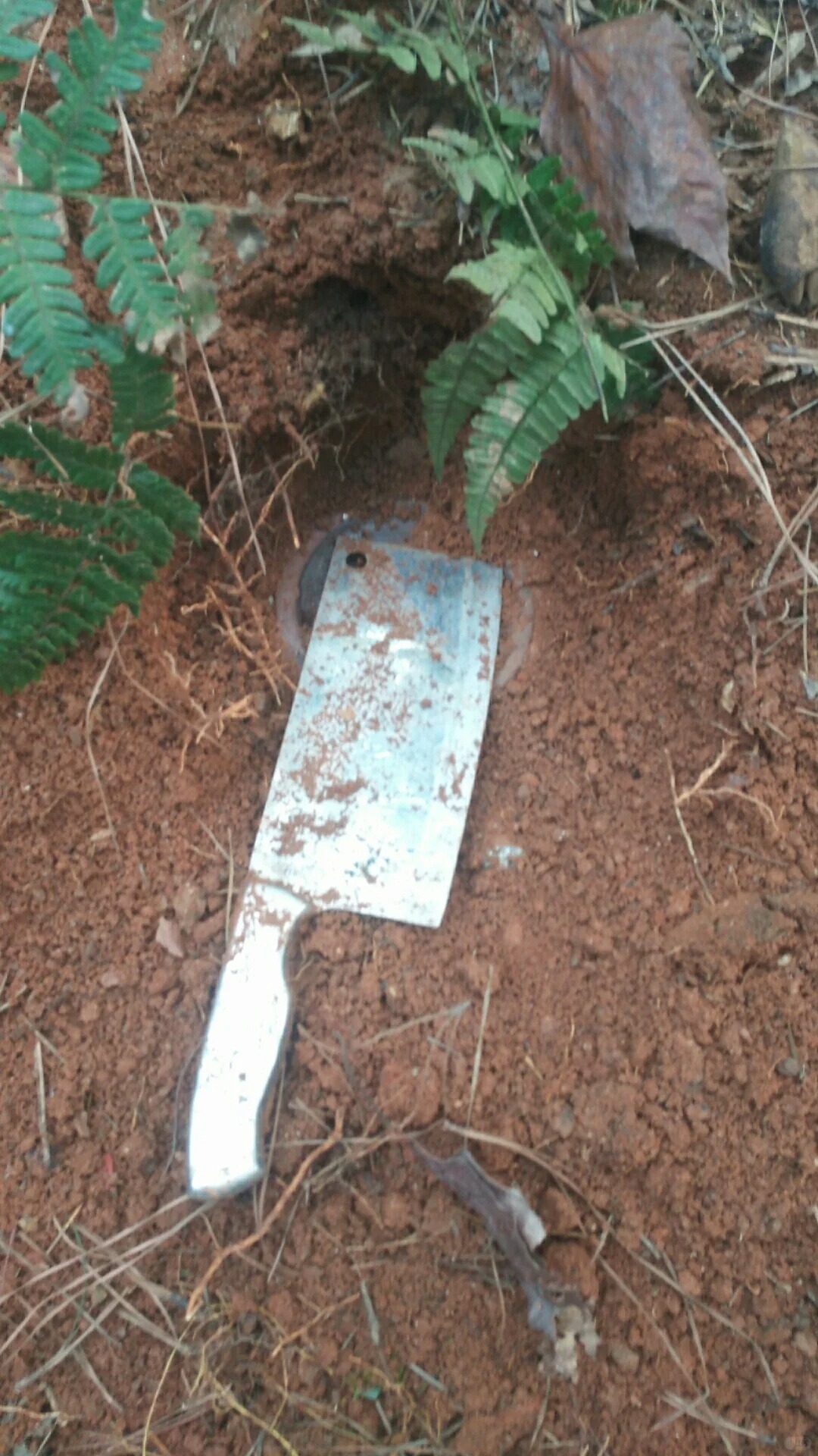 是不是有人要某hai我家，有懂的朋友吗
今天我爸在我家后院围坝西边发现的，不知道